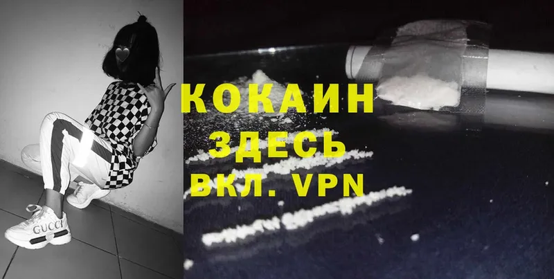 Cocaine Fish Scale  дарнет шоп  Мыски 